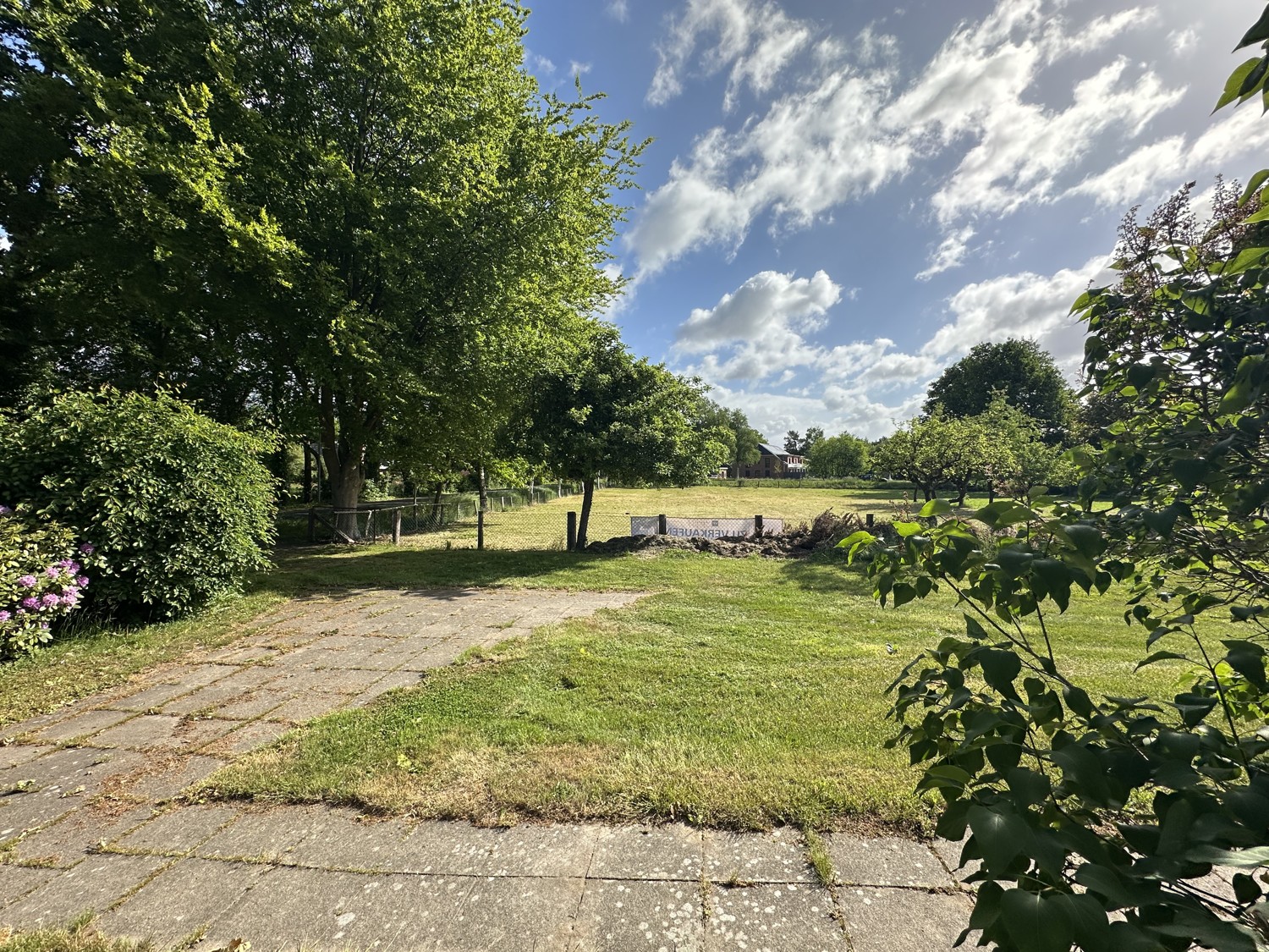 Wiese am Hof