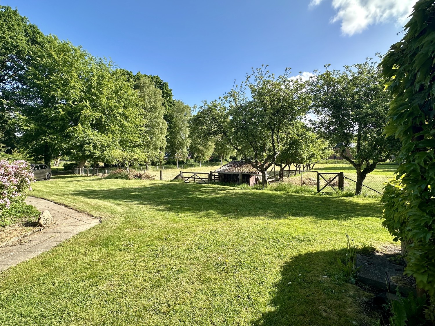 Blick hinter dem Haus zu Wiese