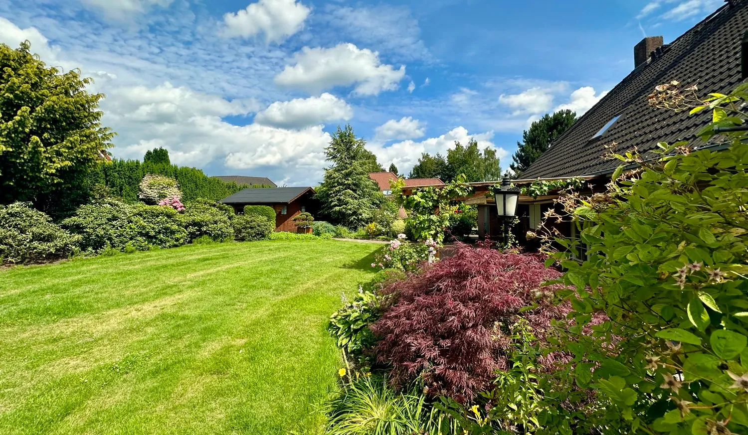 Blick in den Garten von oben