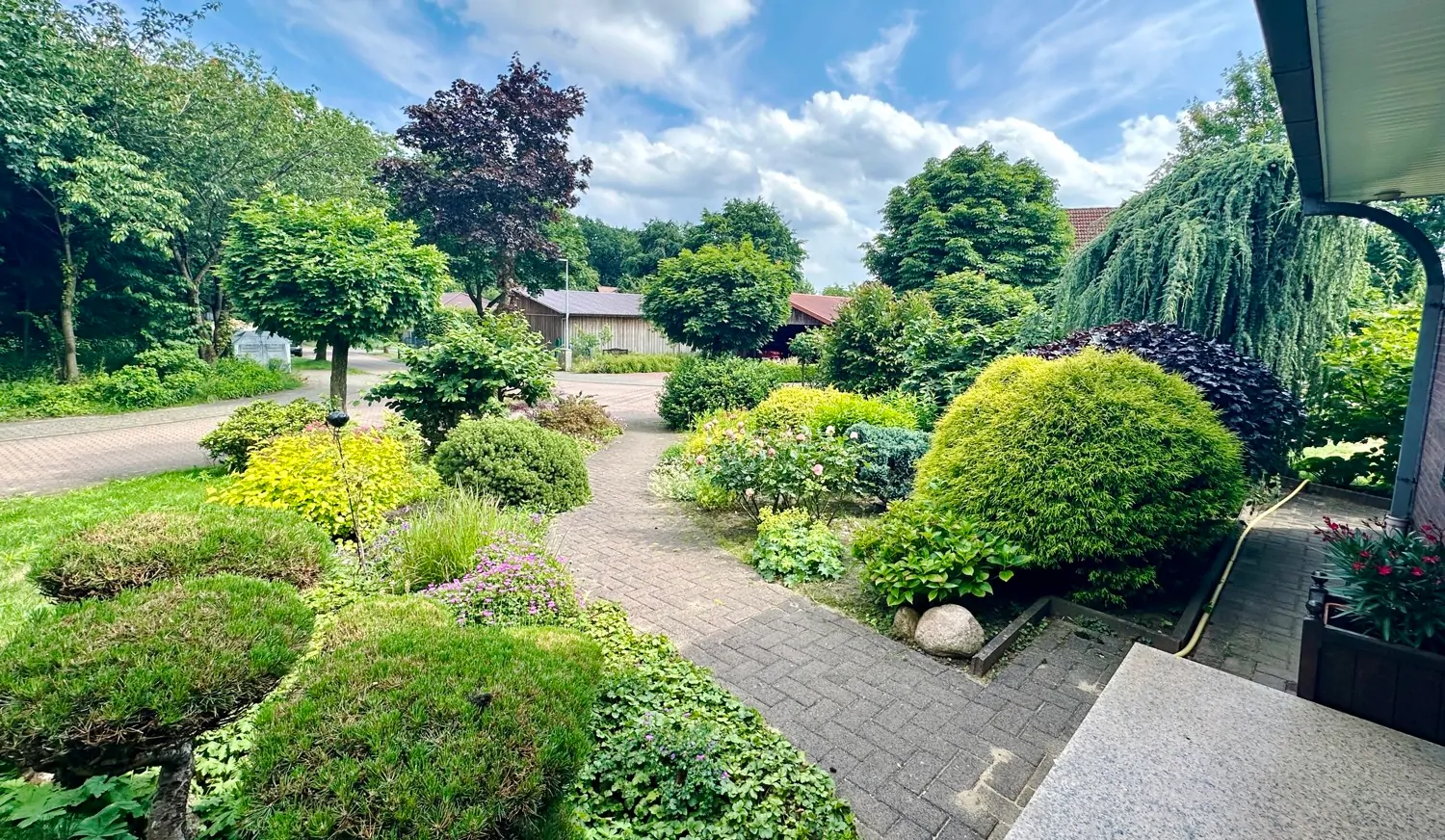 Blick in den Garten von oben