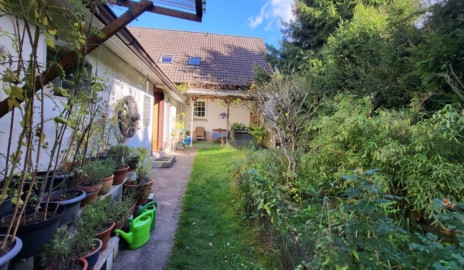 Blick zur Terrasse