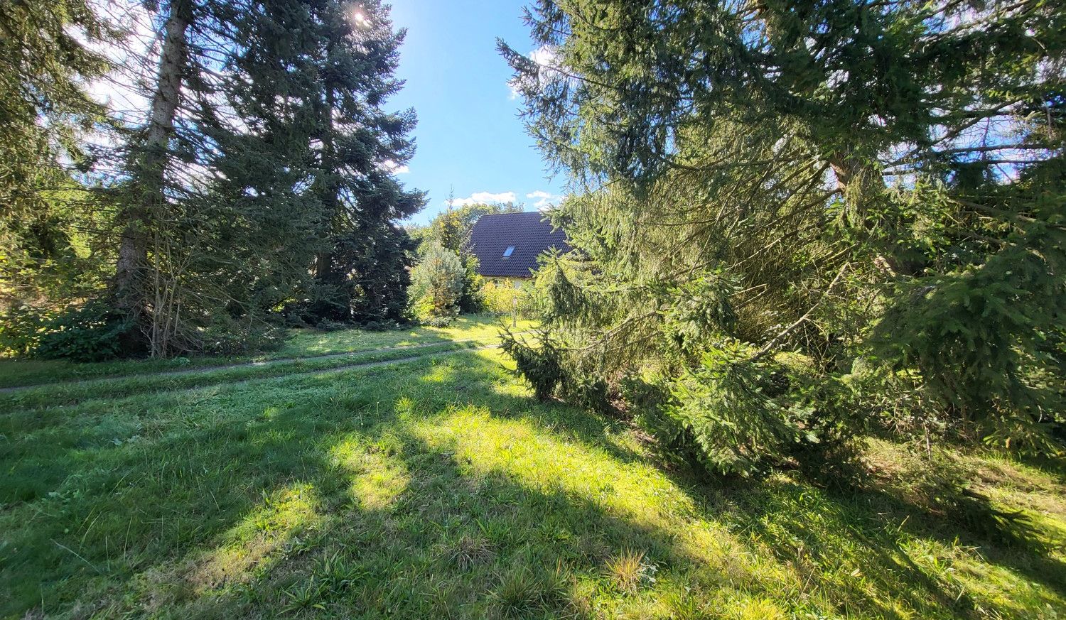 vorderer Garten