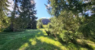 von_poll_real_estate_property_24205064_image_3