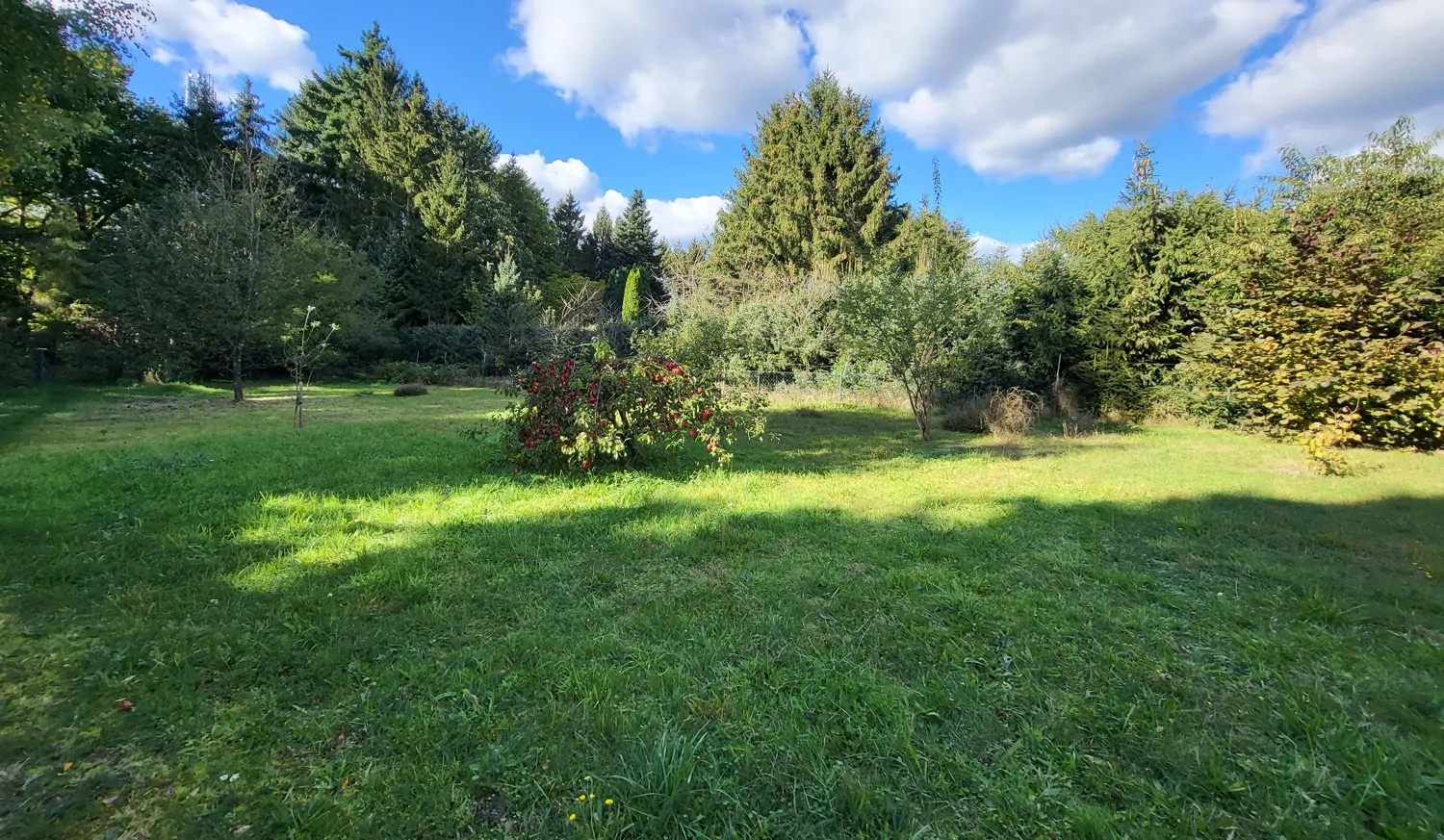 Garten mit Apfelbaum