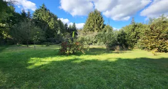 von_poll_real_estate_property_24205064_image_7