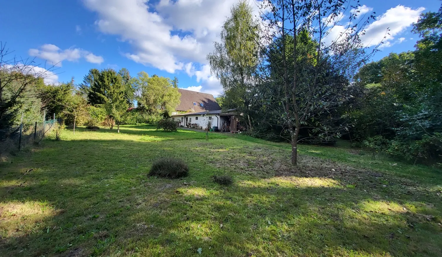 Blick vom hinteren Garten