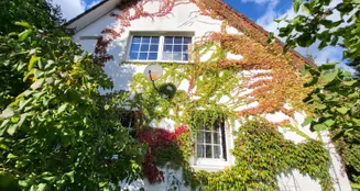 von_poll_real_estate_property_24205064_image_4