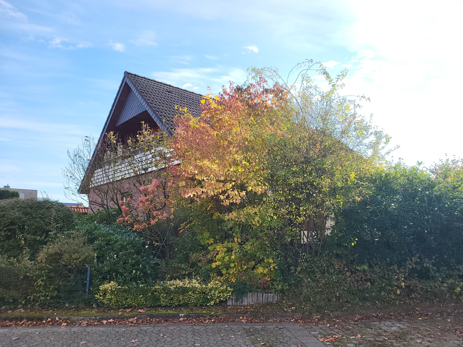 Blick von der Straße