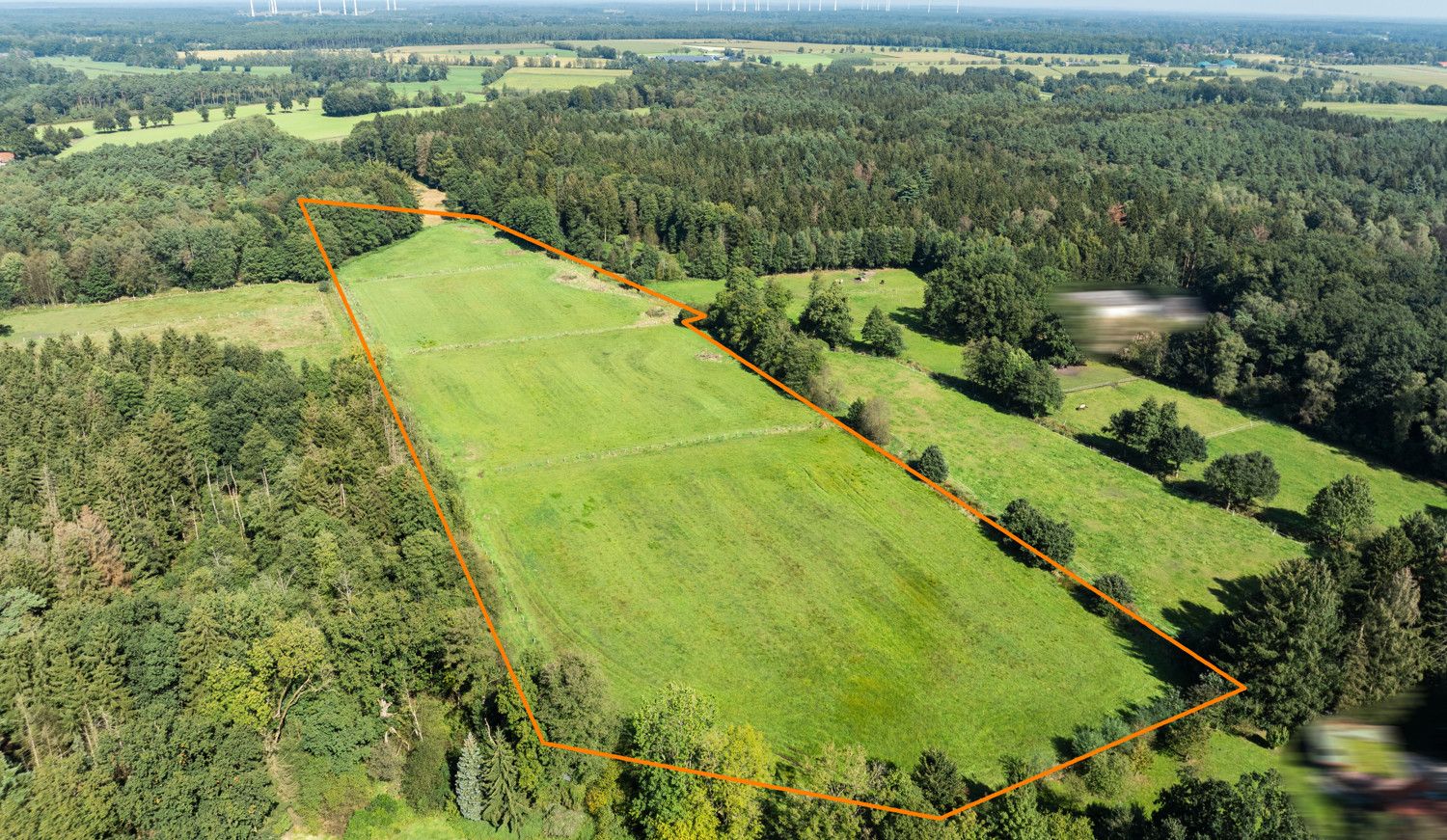 Luftbild  Grünland