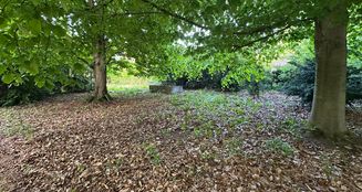 von_poll_real_estate_property_25205002_image_29