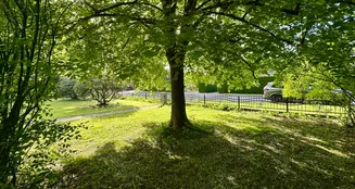 von_poll_real_estate_property_25205002_image_6