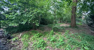 von_poll_real_estate_property_25205002_image_32