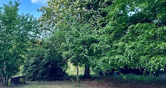 von_poll_real_estate_property_25205002_image_33