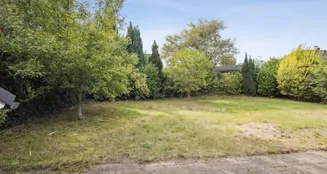 von_poll_real_estate_property_25205039_image_8