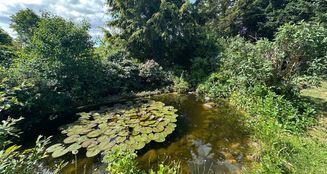 von_poll_real_estate_property_25205011_image_18