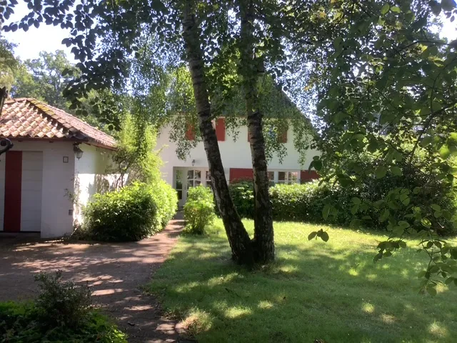 Blick zur Haustür Sommer