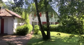 von_poll_real_estate_property_25205052_image_6