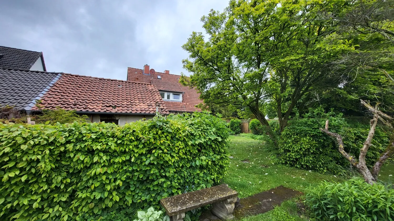 Blick vom Garten