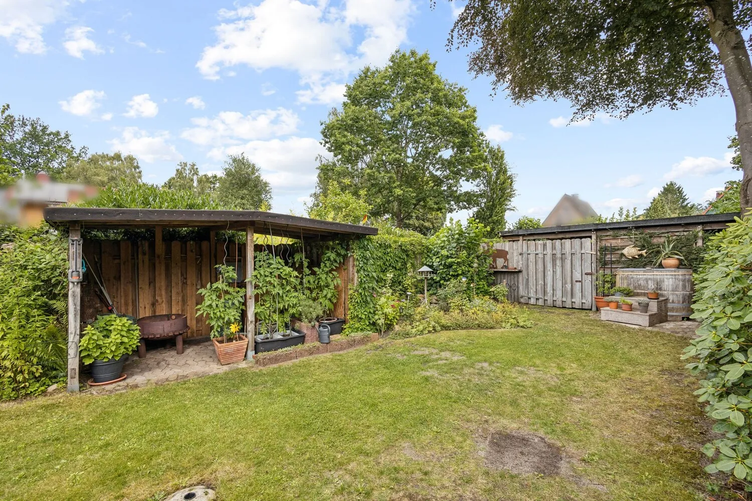 Blick in den Garten