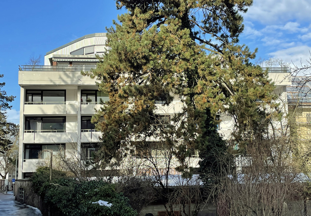 Rückansicht