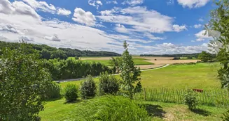 von_poll_real_estate_property_25085080_image_22