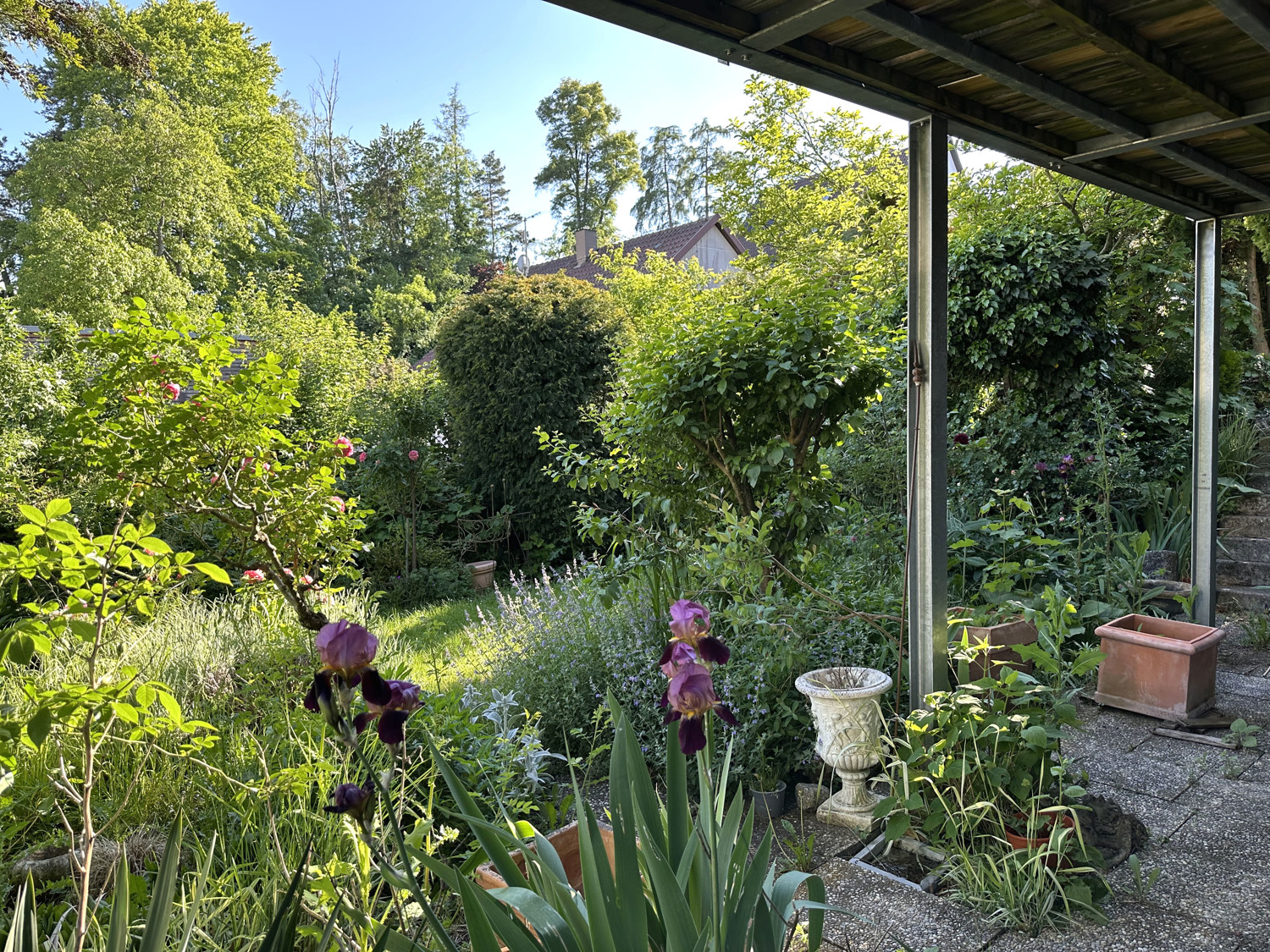 Garten - Terrasse