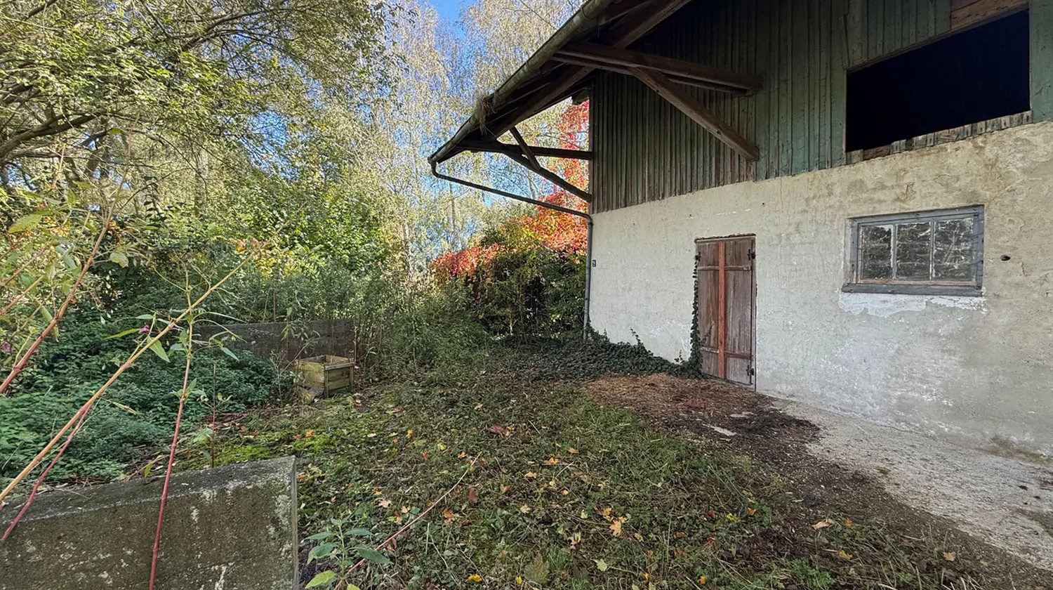 Altbestand Scheue Seitlich