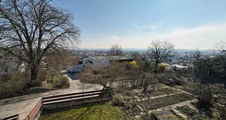 von_poll_real_estate_property_25085034_image_19