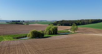 von_poll_real_estate_property_25085044_image_17