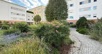 von_poll_real_estate_property_25085095_image_18