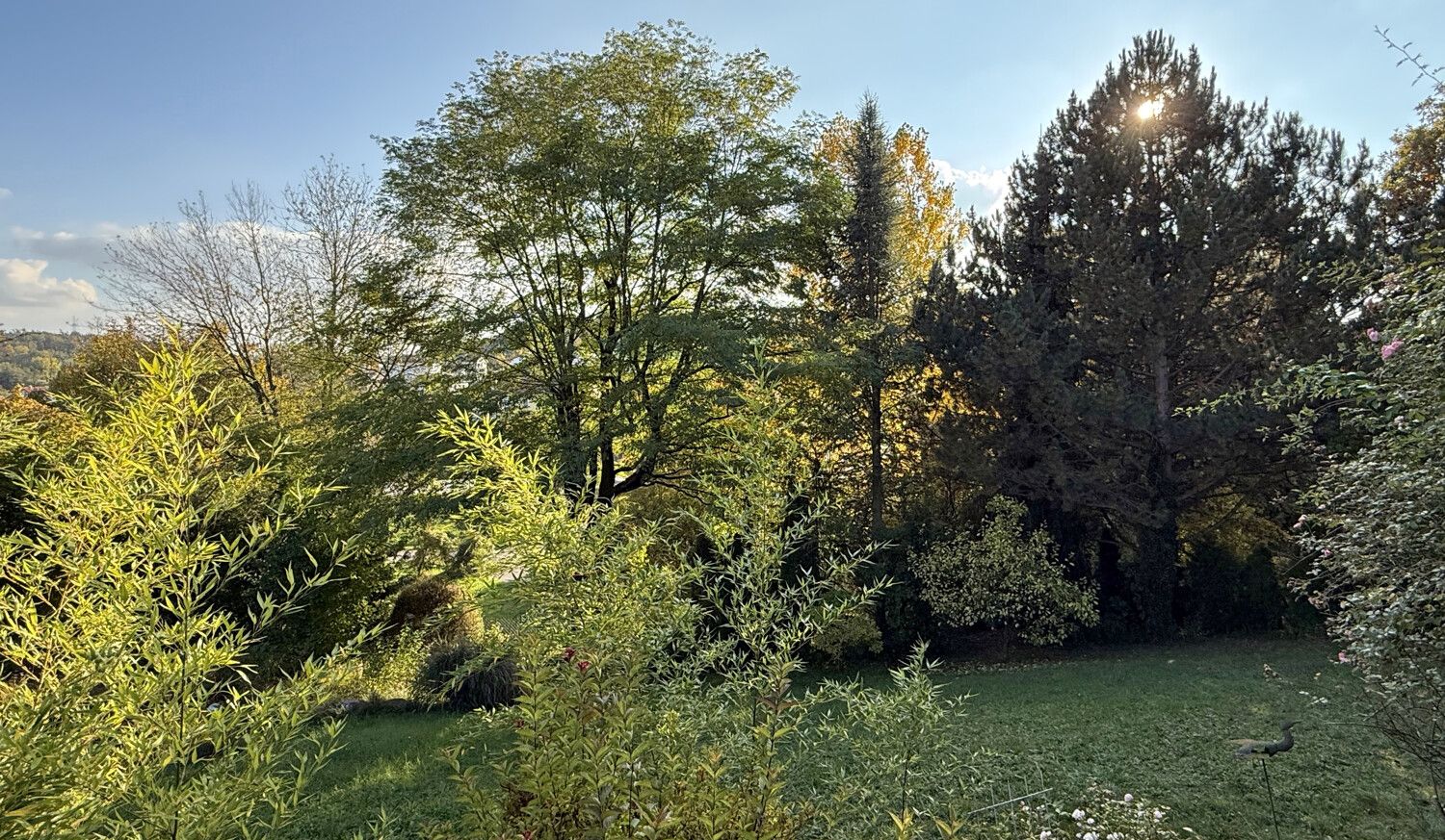 Aussicht