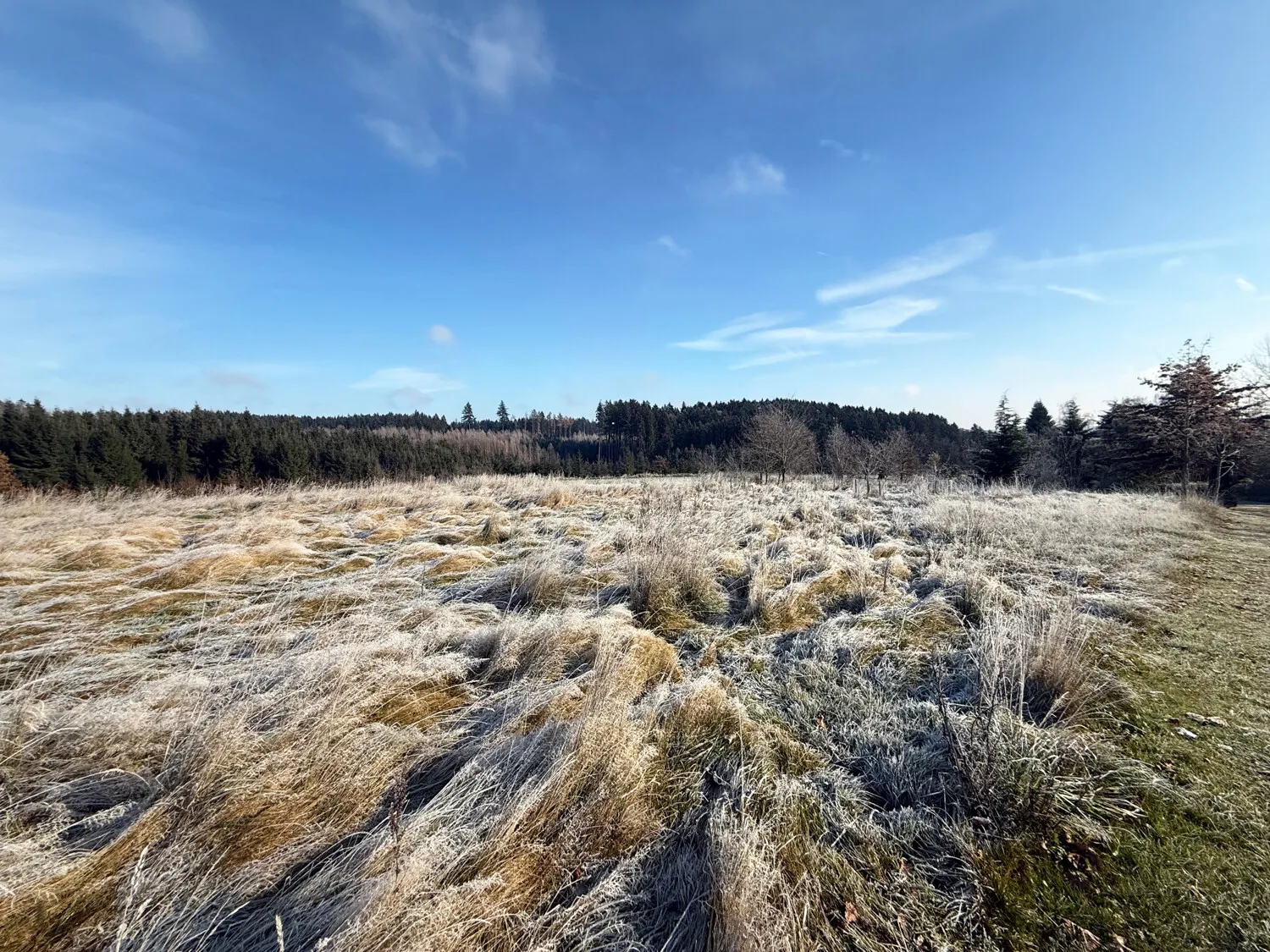 Attractive agricultural land in a stunning location on the edge of the forest – Holzhäuseln near Altfraunhofen
