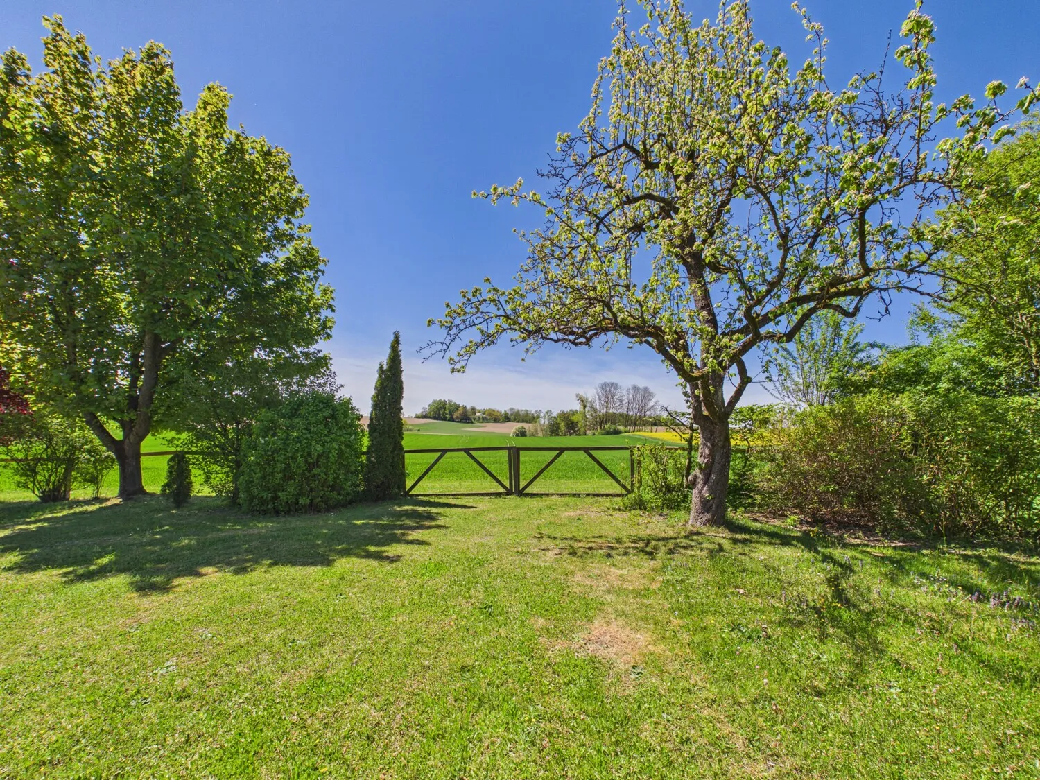 Garten