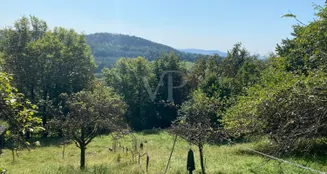 von_poll_real_estate_property_24214011_image_2