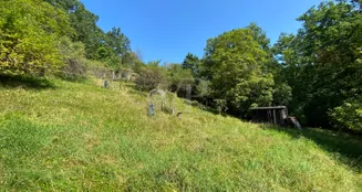 von_poll_real_estate_property_24214011_image_3