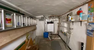 von_poll_real_estate_property_25214003_image_20