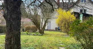 von_poll_real_estate_property_25214003_image_3