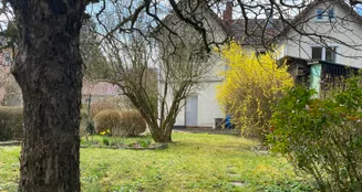 von_poll_real_estate_property_25214003_image_3