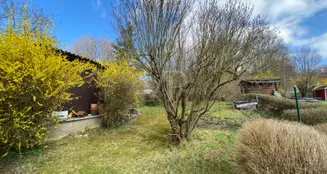 von_poll_real_estate_property_25214003_image_4