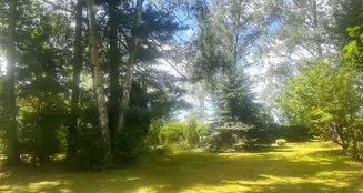 von_poll_real_estate_property_25214714_image_10