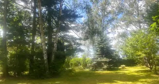 von_poll_real_estate_property_25214714_image_10