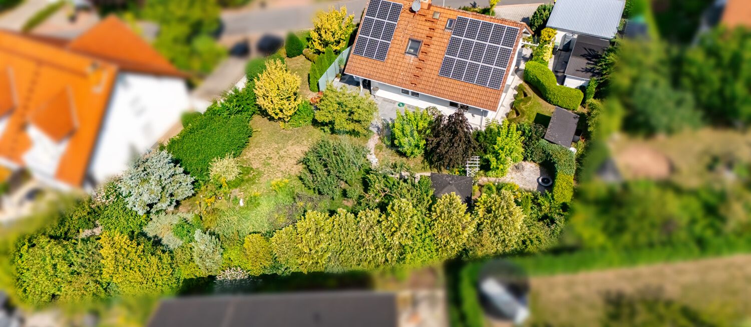 Birdview