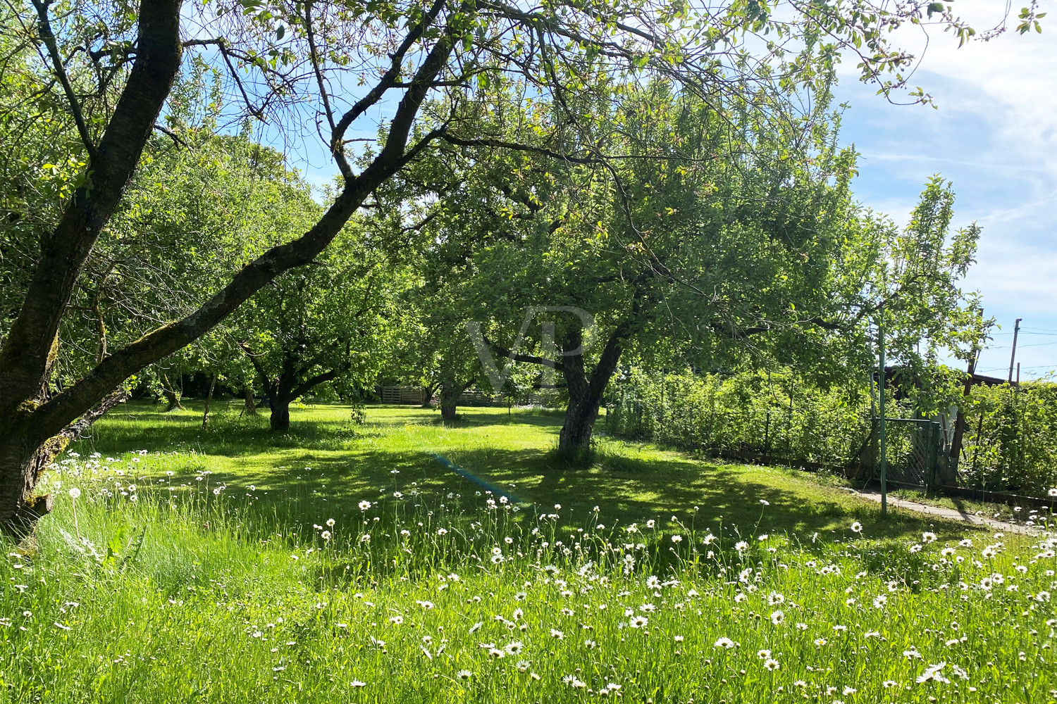 Blick auf Obstwiese und Nutzgarten