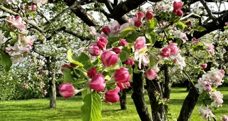 von_poll_real_estate_property_25214715_image_29