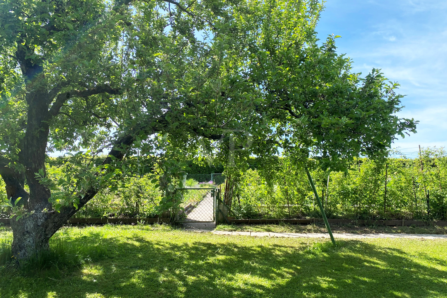 Nutzgarten