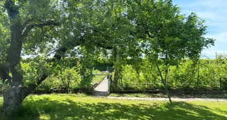 von_poll_real_estate_property_25214715_image_30