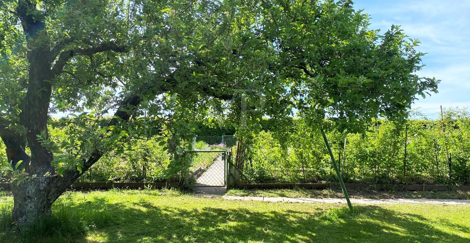 Nutzgarten
