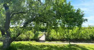 von_poll_real_estate_property_25214715_image_30