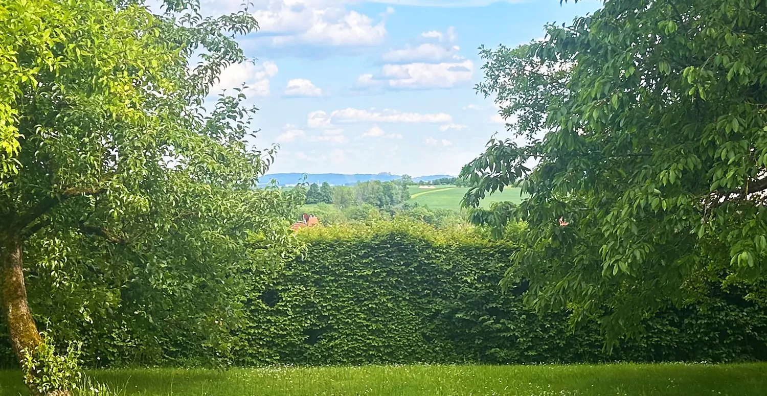 Blick auf die Veste Coburg