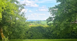 von_poll_real_estate_property_25214715_image_32